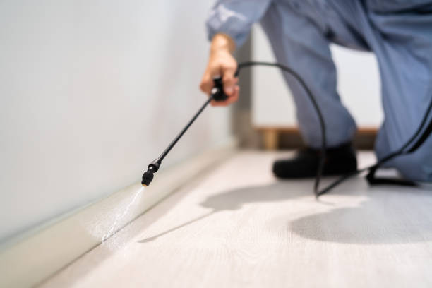Licensed Termite Control service in Brown County County, TX - Nex Pest Control