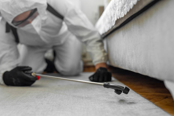 Professional Termite Control technician working in Brown County County, TX